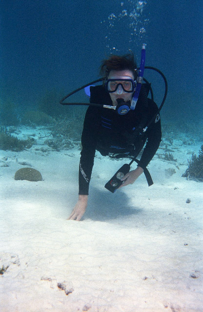 Scuba Diving 1995 Bonnaire